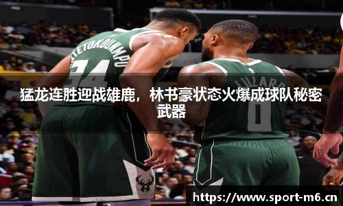 米乐m6体育官网