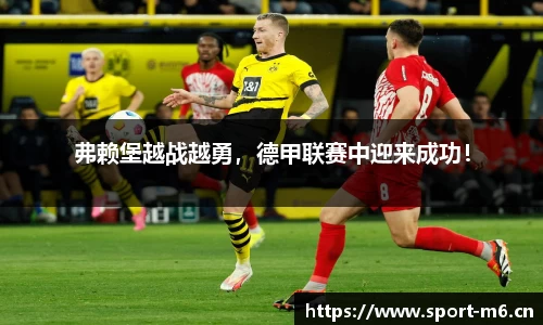 米乐m6体育官网