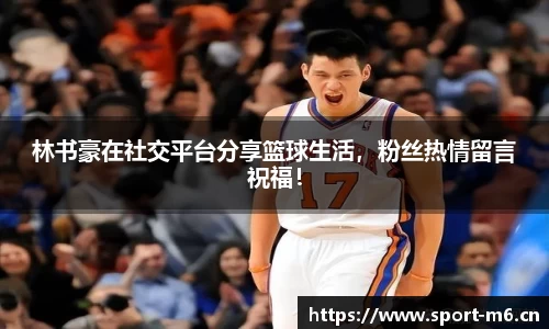 米乐m6体育官网