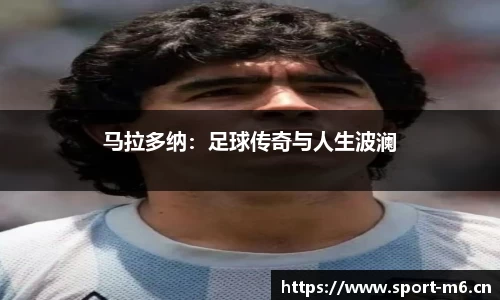 米乐m6体育官网