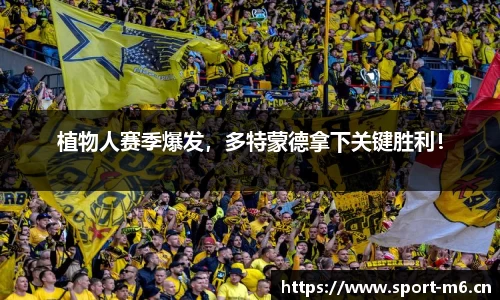 米乐m6体育