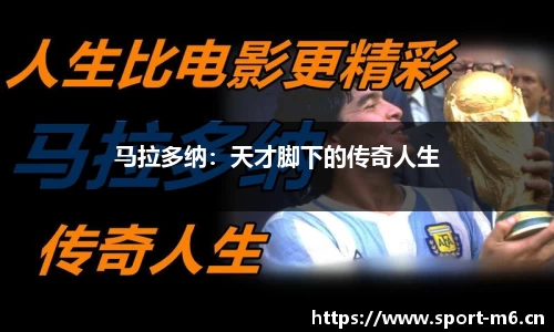 米乐m6体育平台