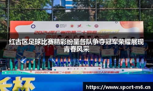 米乐m6体育官网