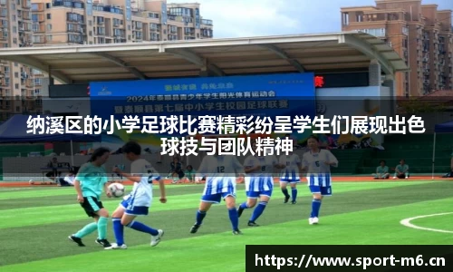米乐m6体育官网
