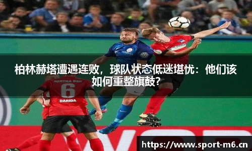 米乐m6体育官网