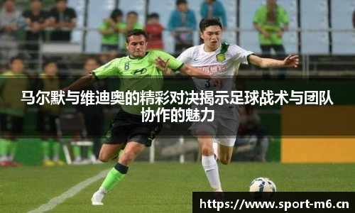 米乐m6体育官网